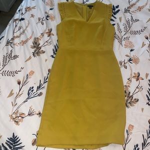 Ann Taylor dress